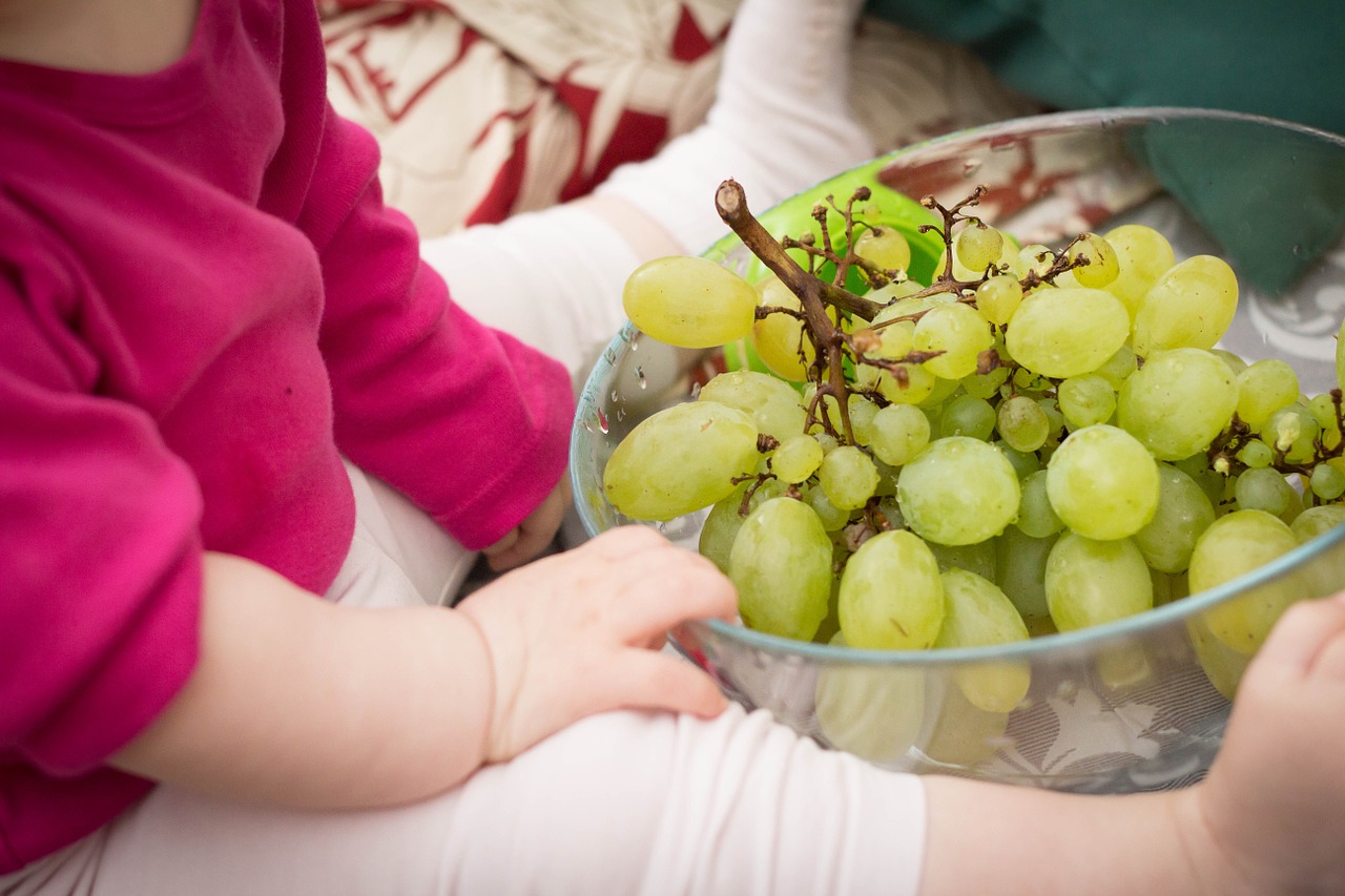 Dall'uva al vino
