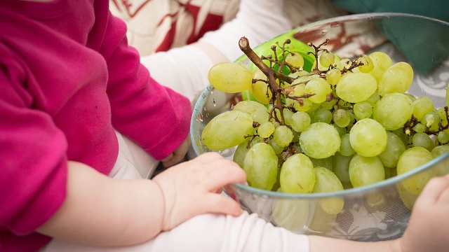 Dall'uva al vino